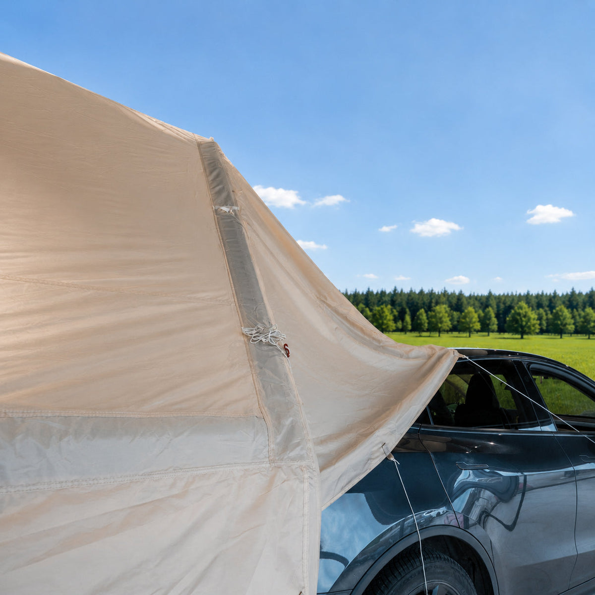 Biltelt – Tesla Model Y og X - bilde 13