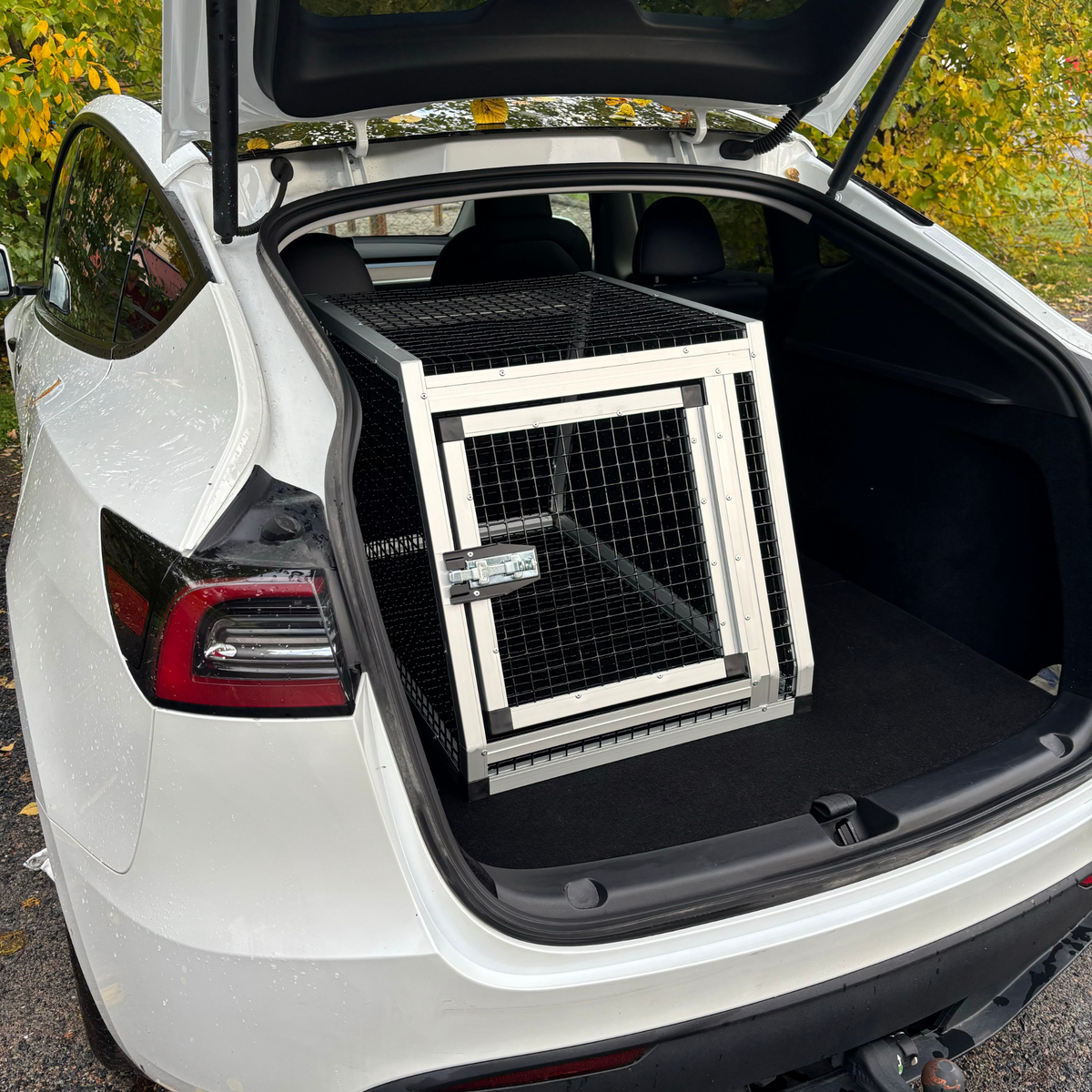 Model Y – Hundebur – sammenlagt